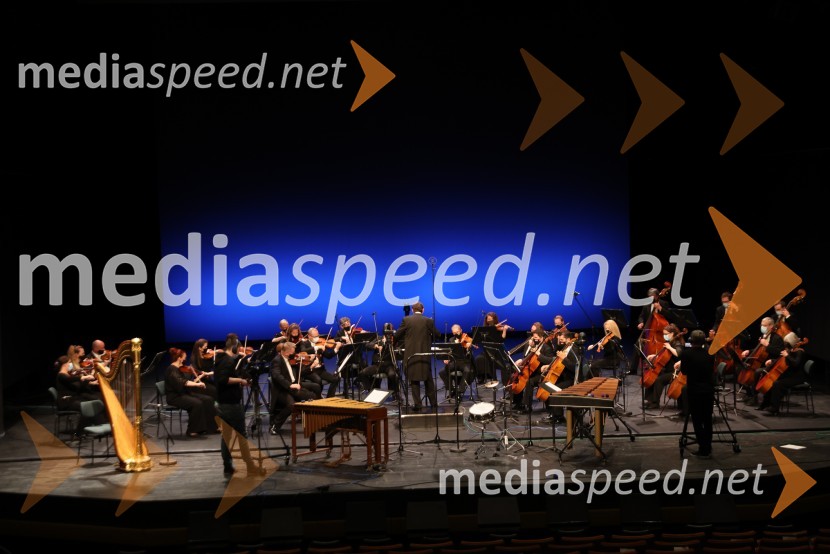 Simfonični orkester SNG MariborVesele harmonije razstavljenega orkestra