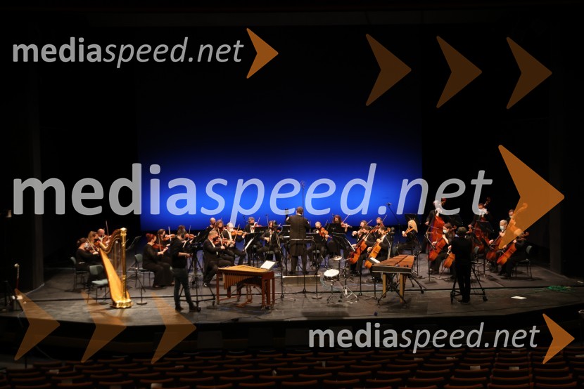 Simfonični orkester SNG MariborVesele harmonije razstavljenega orkestra