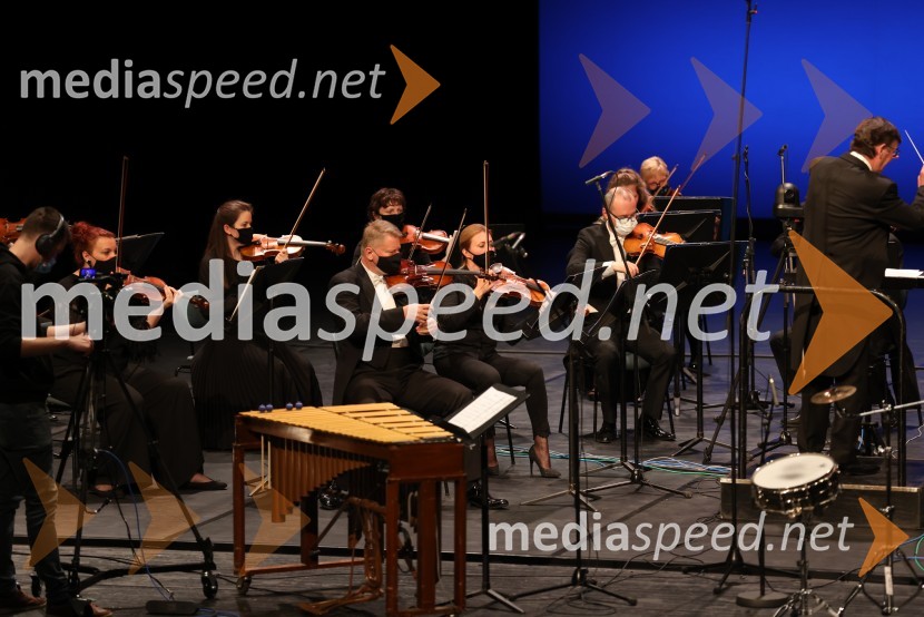 Simfonični orkester SNG MariborVesele harmonije razstavljenega orkestra