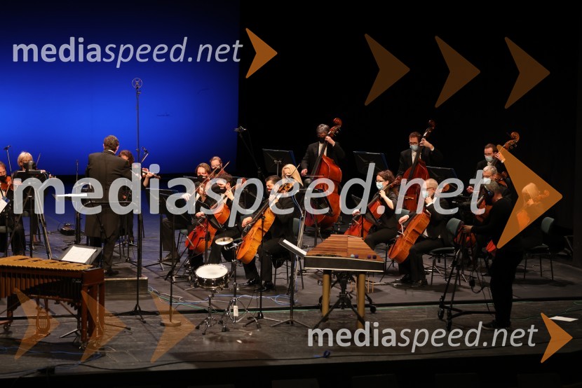 Simfonični orkester SNG MariborVesele harmonije razstavljenega orkestra