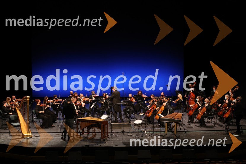 Simfonični orkester SNG MariborVesele harmonije razstavljenega orkestra