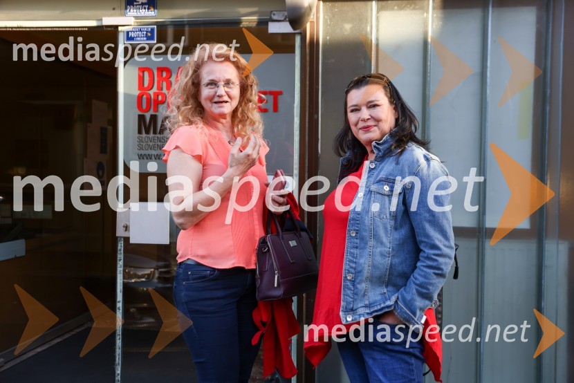 Vesele harmonije razstavljenega orkestra