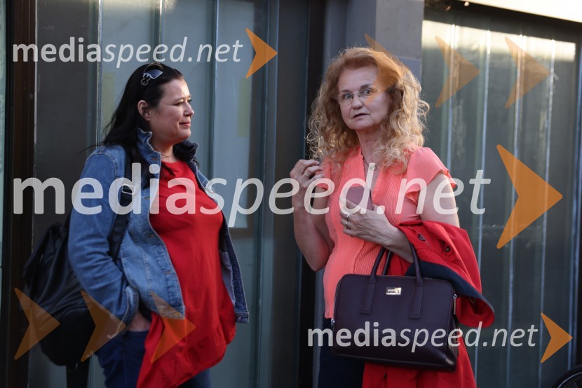 Vesele harmonije razstavljenega orkestra