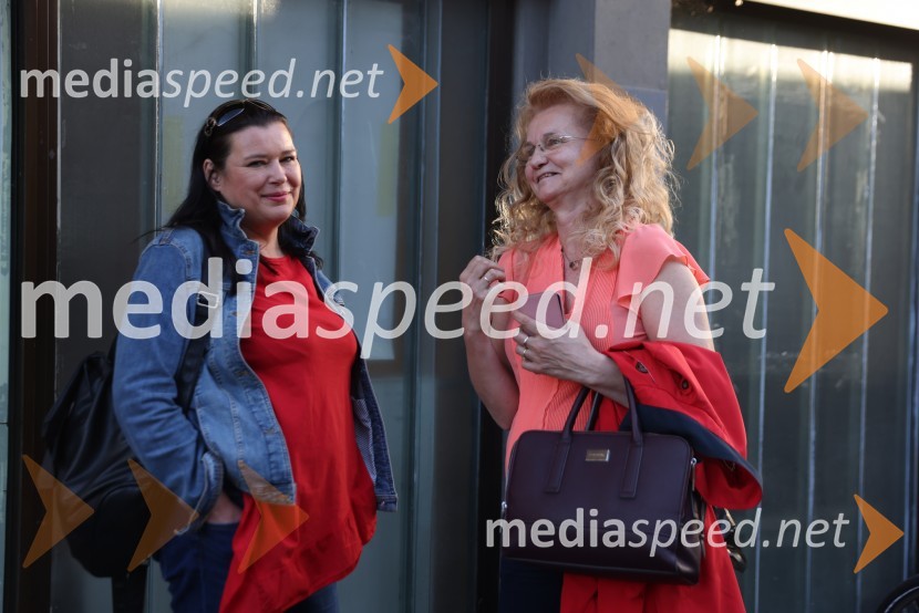 Vesele harmonije razstavljenega orkestra