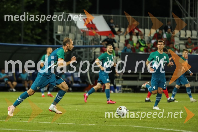 Prijateljska tekma: Slovenija - Gibraltar