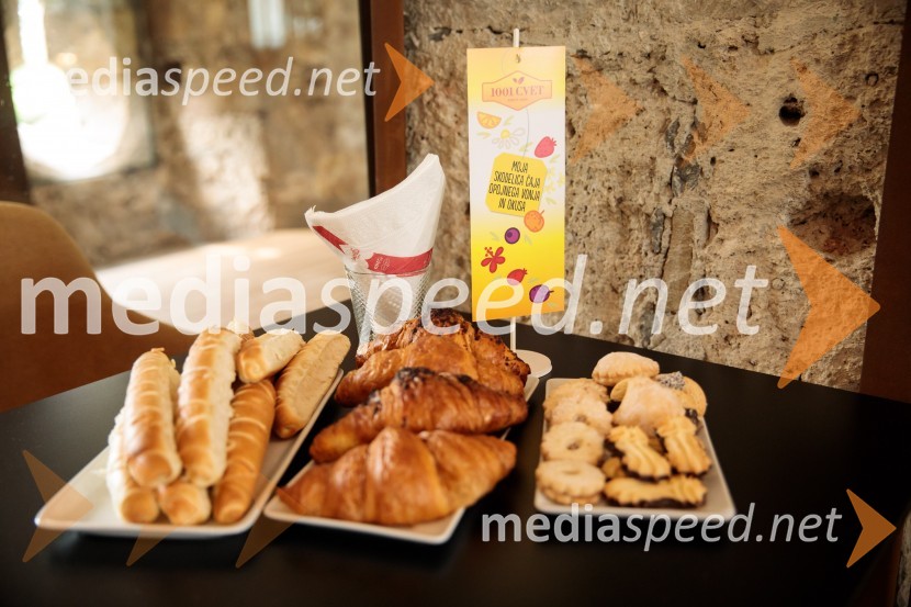 Srečanje s članicami smučarske reprezentance v tehničnih disciplinah