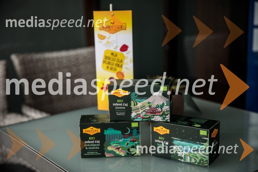 Srečanje s članicami smučarske reprezentance v tehničnih disciplinah