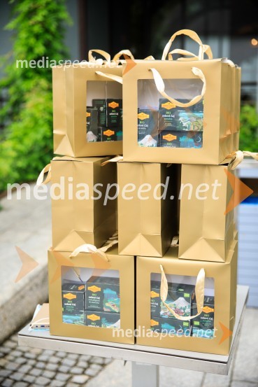 Srečanje s članicami smučarske reprezentance v tehničnih disciplinah