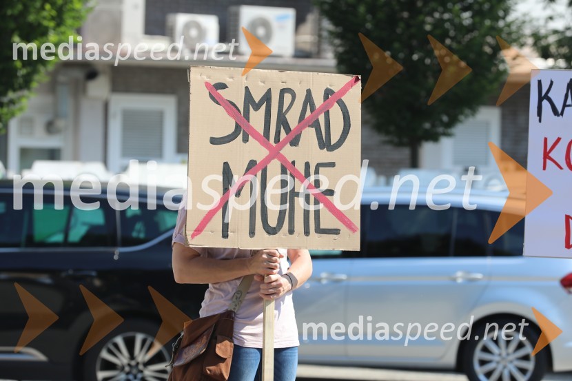 Zagon nove linije, Paloma