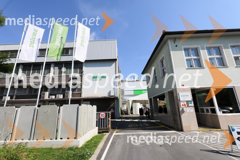 Zagon nove linije, Paloma