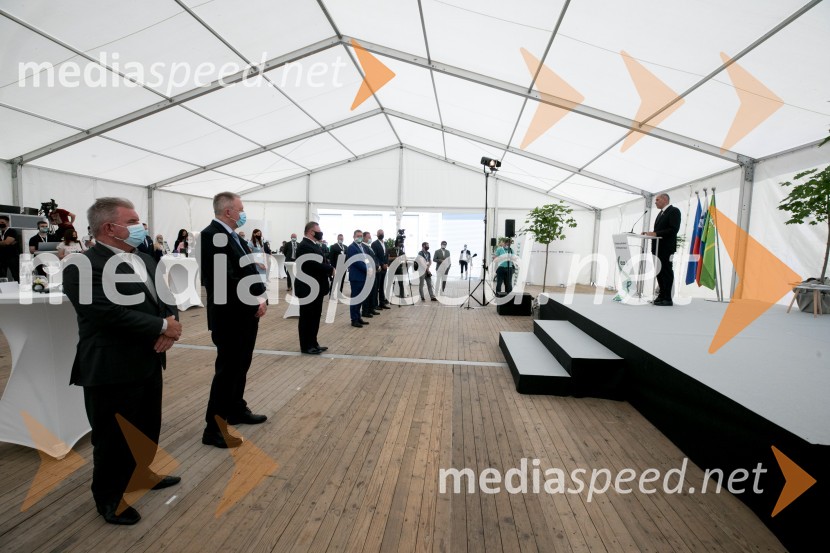 Zagon nove linije, Paloma