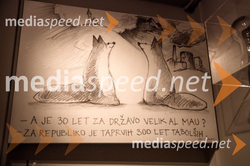 Republika Slovenija 30 let