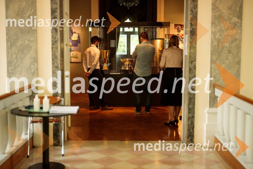 Republika Slovenija 30 let