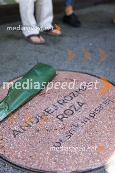 Levstikove nagrade 2021, novinarska konferenca z razglasitvijo nagrajencev