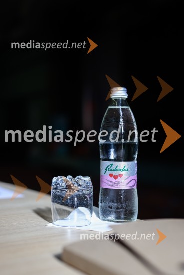 20. Vrh Kmetijskih in živilskih podjetij Slovenije