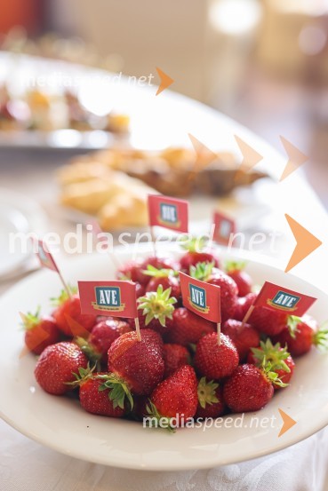 20. Vrh Kmetijskih in živilskih podjetij Slovenije