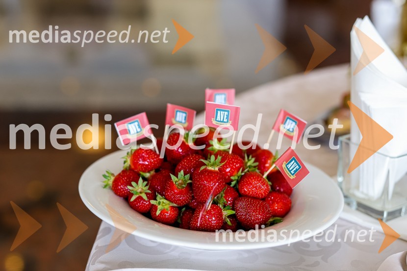 20. Vrh Kmetijskih in živilskih podjetij Slovenije