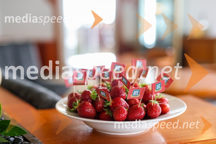 20. Vrh Kmetijskih in živilskih podjetij Slovenije