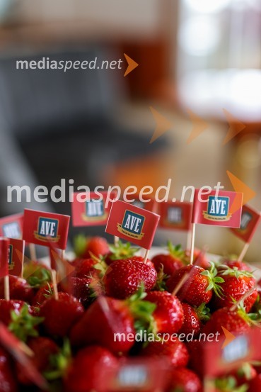 20. Vrh Kmetijskih in živilskih podjetij Slovenije