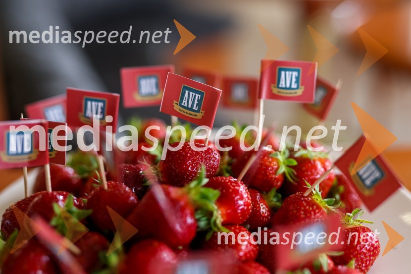 20. Vrh Kmetijskih in živilskih podjetij Slovenije