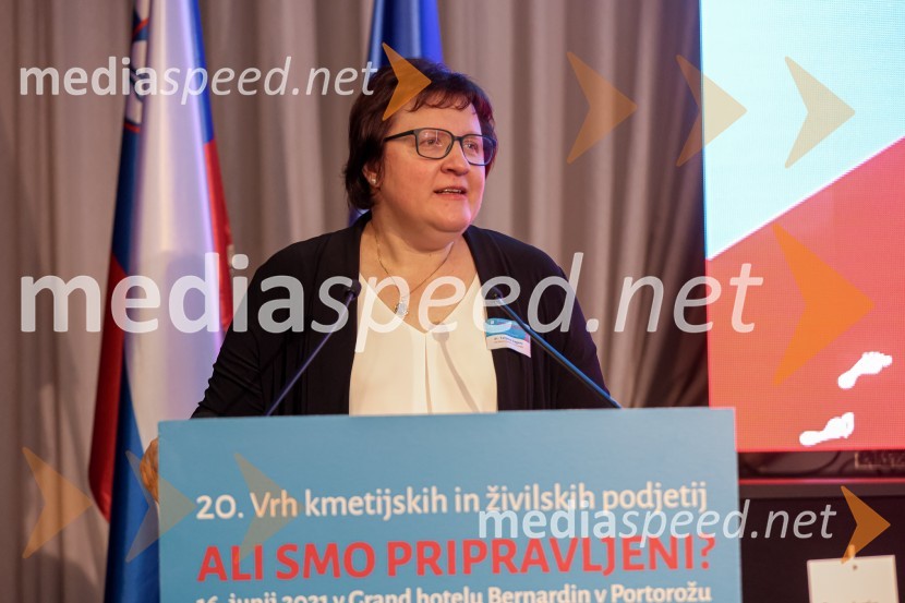 20. Vrh Kmetijskih in živilskih podjetij Slovenije