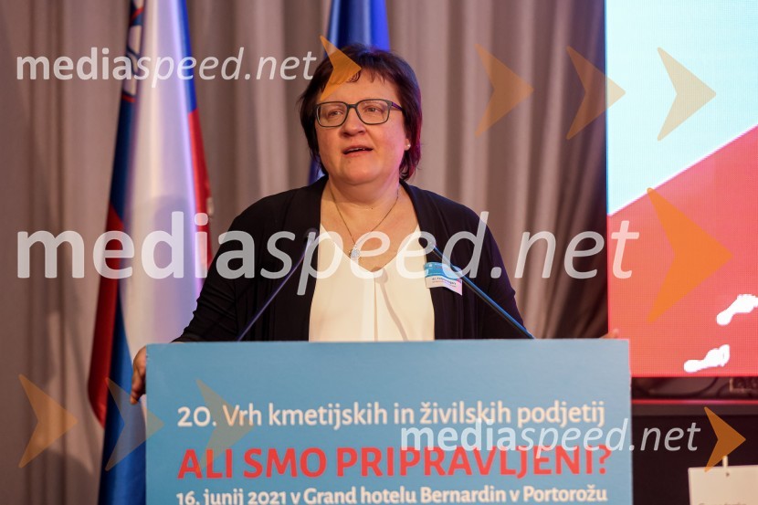 20. Vrh Kmetijskih in živilskih podjetij Slovenije