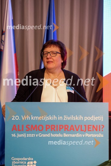 20. Vrh Kmetijskih in živilskih podjetij Slovenije