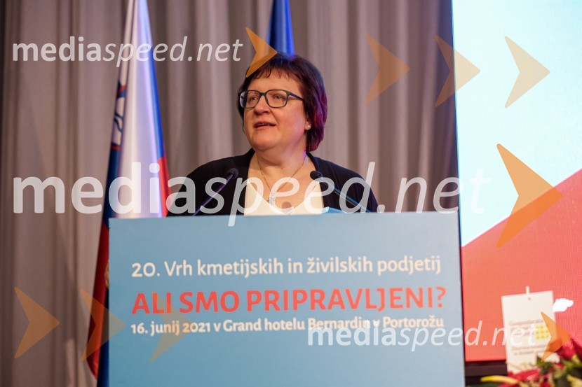 20. Vrh Kmetijskih in živilskih podjetij Slovenije