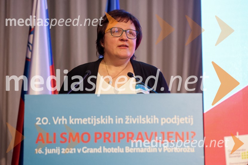 20. Vrh Kmetijskih in živilskih podjetij Slovenije