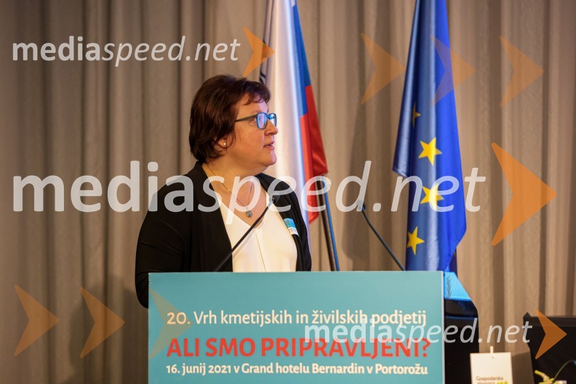 20. Vrh Kmetijskih in živilskih podjetij Slovenije