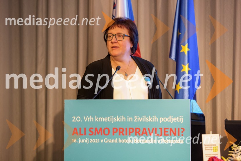 20. Vrh Kmetijskih in živilskih podjetij Slovenije