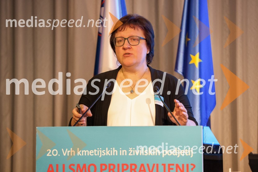 20. Vrh Kmetijskih in živilskih podjetij Slovenije