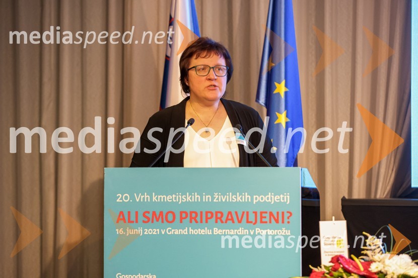 20. Vrh Kmetijskih in živilskih podjetij Slovenije