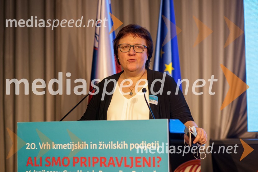 20. Vrh Kmetijskih in živilskih podjetij Slovenije