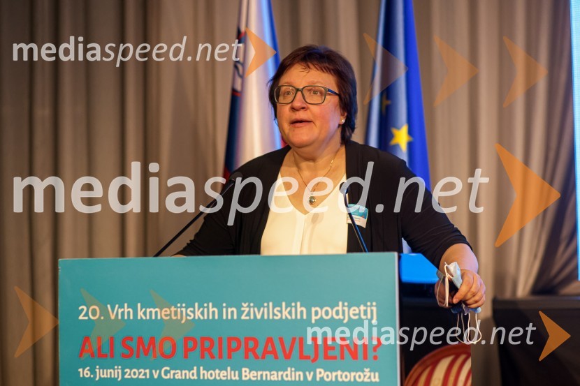 20. Vrh Kmetijskih in živilskih podjetij Slovenije