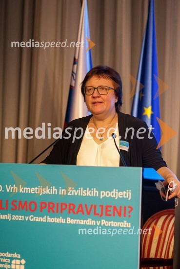 20. Vrh Kmetijskih in živilskih podjetij Slovenije