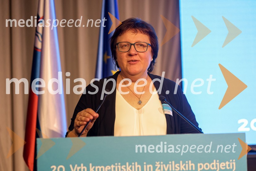 20. Vrh Kmetijskih in živilskih podjetij Slovenije