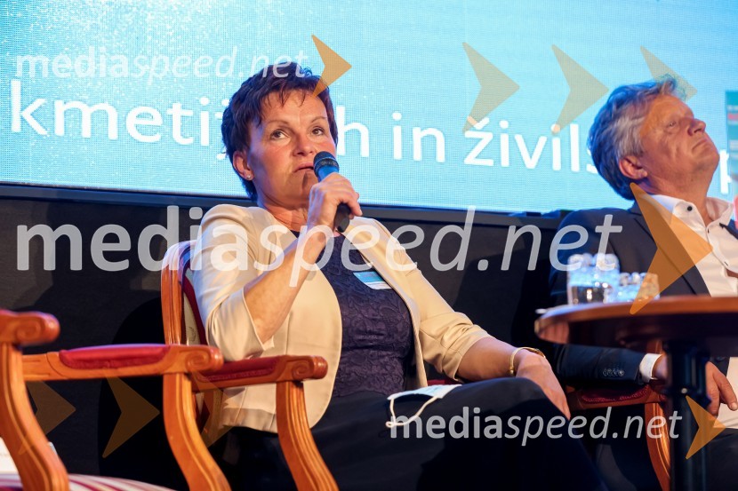 20. Vrh Kmetijskih in živilskih podjetij Slovenije