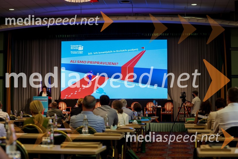 20. Vrh Kmetijskih in živilskih podjetij Slovenije