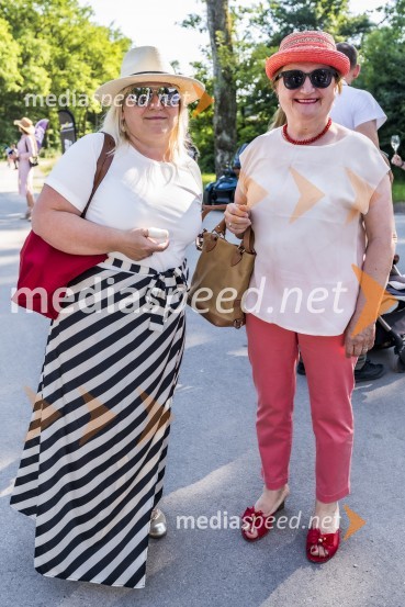 Lady piknik pod klobuki 2021