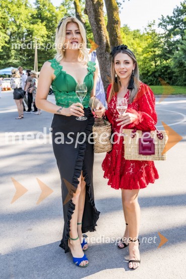 Lady piknik pod klobuki 2021