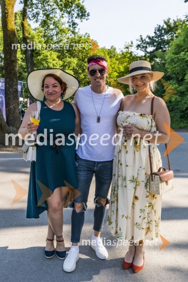  ... ;  Nino Ošlak, pevec;  ... Lady piknik pod klobuki 2021