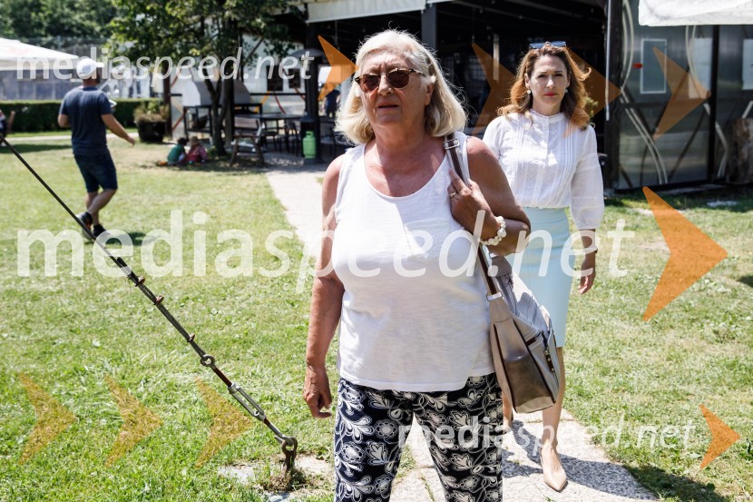 Ninamedia, 30 let raziskovalne agencije