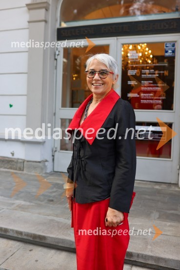 56. Festival Borštnikovo srečanje, otvoritev