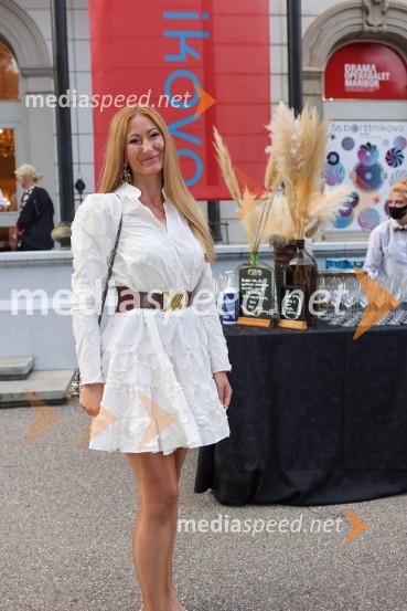 56. Festival Borštnikovo srečanje, otvoritev