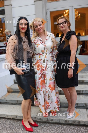 56. Festival Borštnikovo srečanje, otvoritev