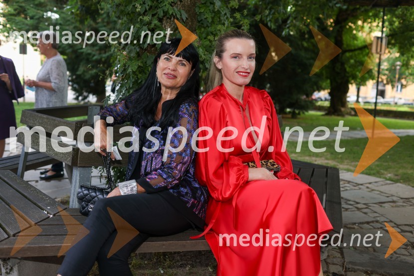 56. Festival Borštnikovo srečanje, otvoritev