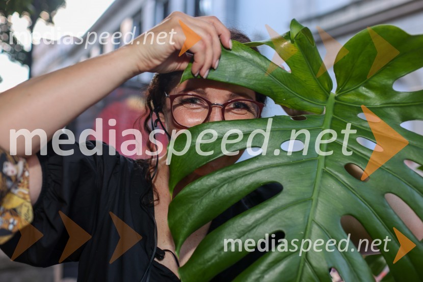 56. Festival Borštnikovo srečanje, otvoritev