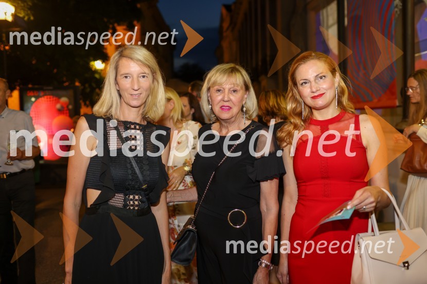 56. Festival Borštnikovo srečanje, otvoritev