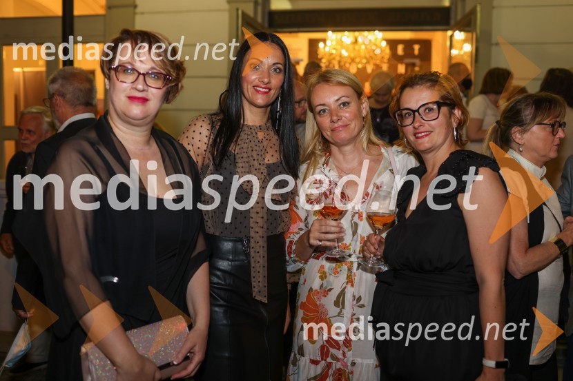 56. Festival Borštnikovo srečanje, otvoritev